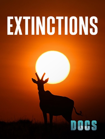 Molotov Channels Docs - Extinctions