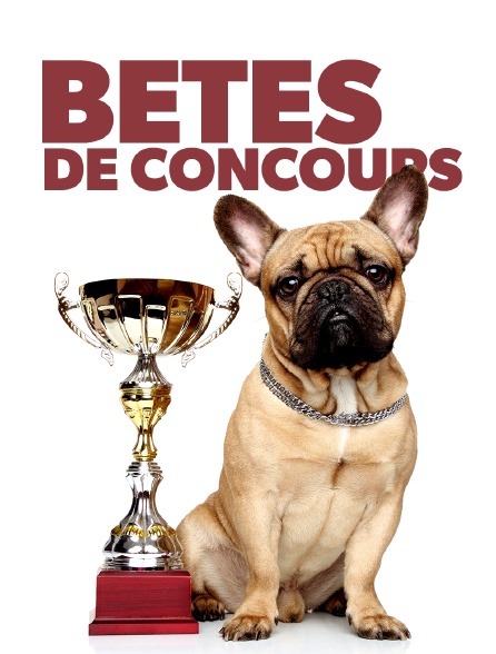 Bêtes de concours