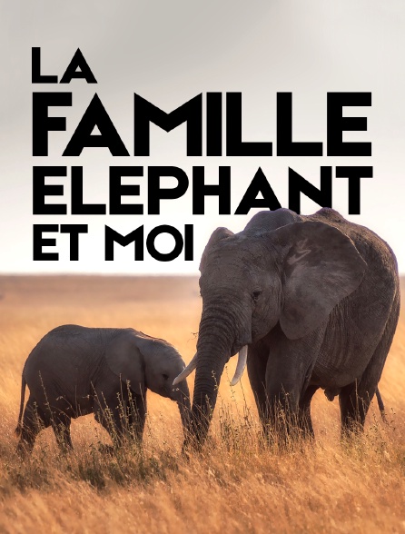 La famille éléphant et moi