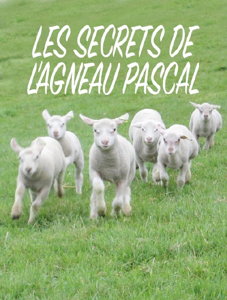 Les secrets de l'agneau pascal