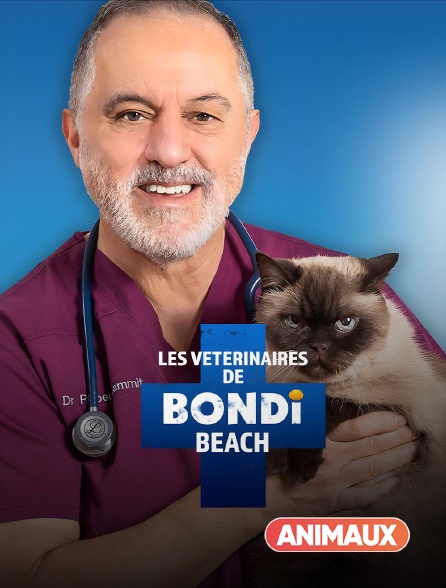 Animaux - Les vétérinaires de Bondi Beach