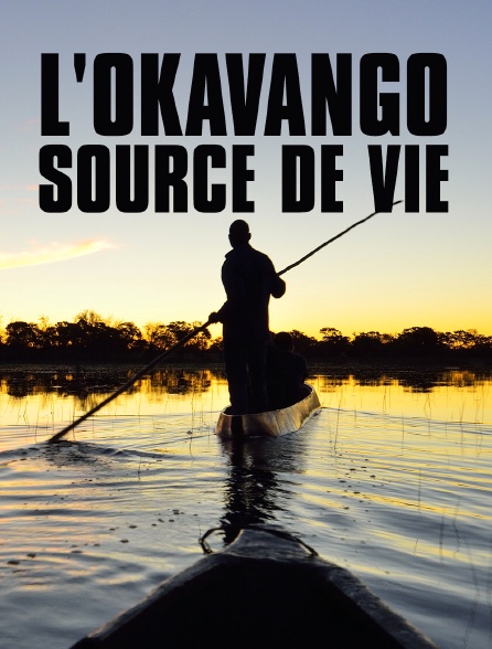 L'Okavango, source de vie