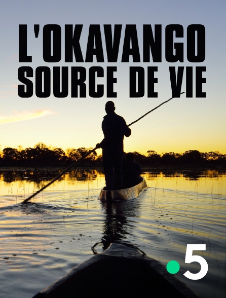 France 5 - L'Okavango, source de vie