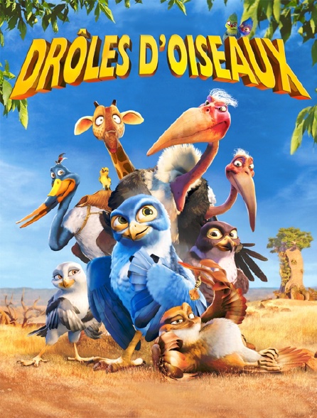 Drôles d'oiseaux