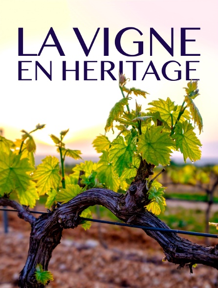 La Vigne en héritage