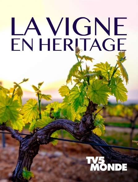 TV5MONDE - La Vigne en héritage