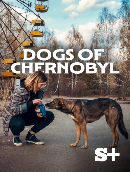 Society+ - Dogs of Chernobyl : The Untold Story