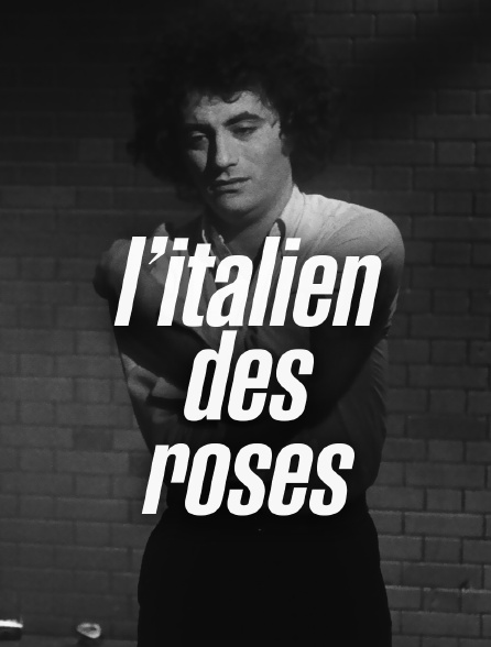 L'Italien des roses