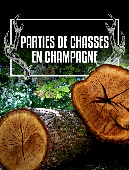 Parties de chasses en Champagne