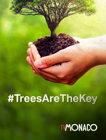 TV Monaco - #TreesAreTheKey