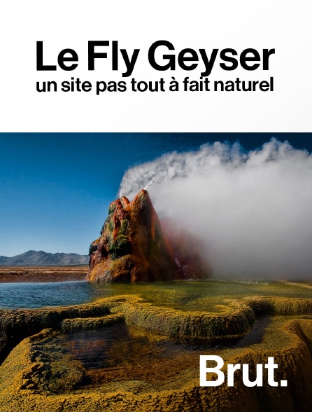 Brut - Le Fly Geyser : un site pas tout à fait naturel