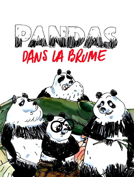 Pandas dans la brume