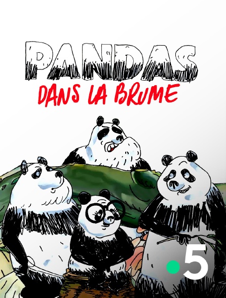 France 5 - Pandas dans la brume