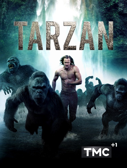 TMC+1 - Tarzan