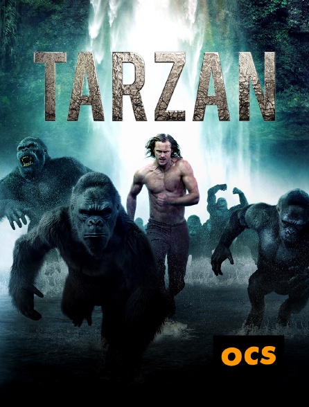 OCS - Tarzan