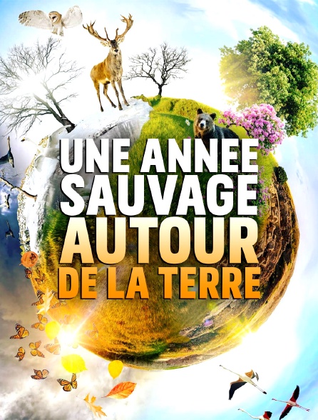 Une année sauvage autour de la terre