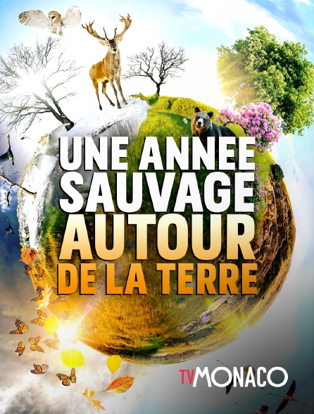 TV Monaco - Une année sauvage autour de la Terre