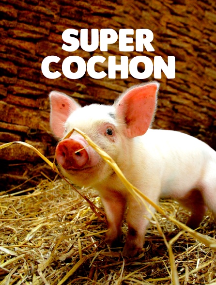 Super cochon