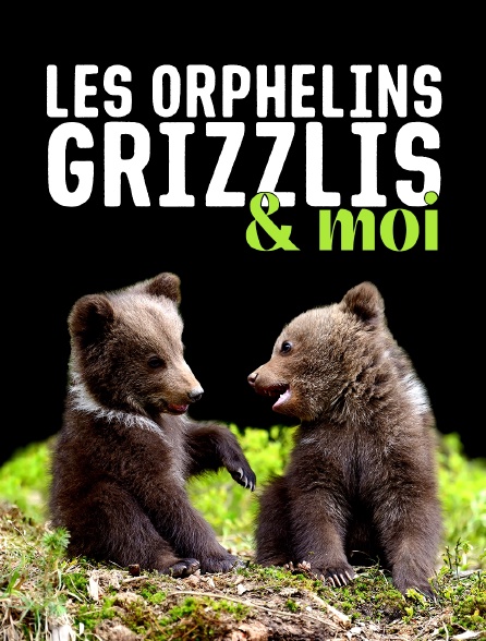 Les orphelins grizzlis & moi