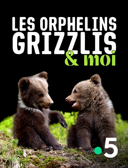 France 5 - Les orphelins grizzlis & moi