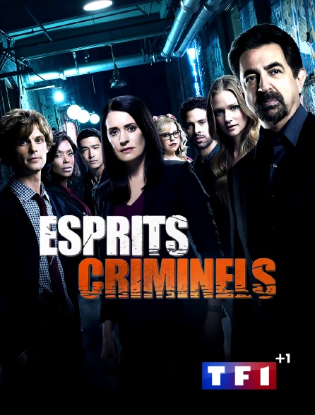 TF1 +1 - Esprits criminels