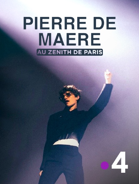 France 4 - Pierre de Maere en concert au Zénith de Paris