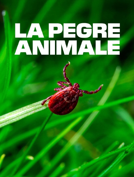 La pègre animale : La vie secrète des parasites