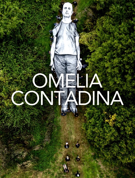 Omelia Contadina