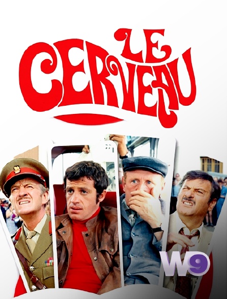 W9 - Le cerveau