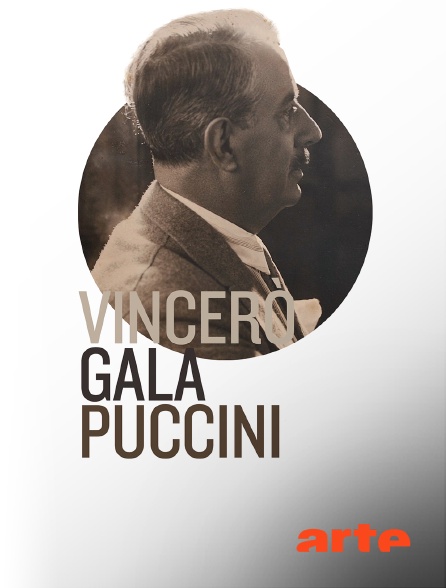 Arte - Gala Puccini sur la piazza San Marco de Venise