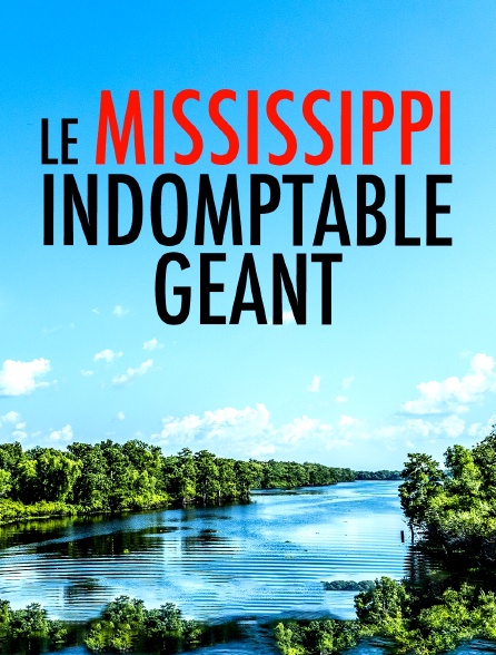 Le Mississippi, indomptable géant