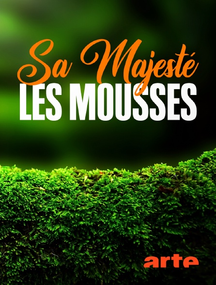 Arte - Sa Majesté les mousses