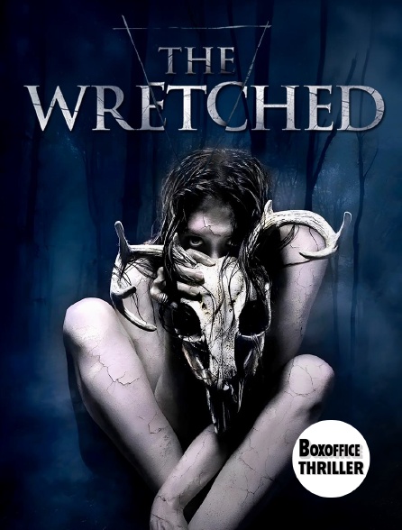 Box Office Thriller - The Wretched