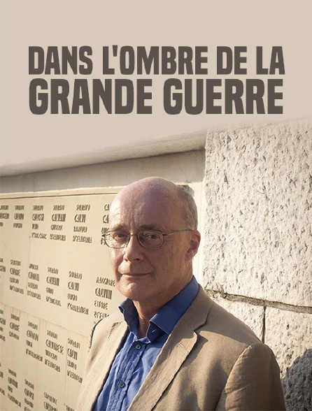 Dans l'ombre de la Grande Guerre