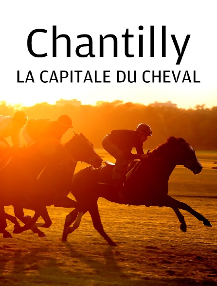 Chantilly, la capitale du cheval