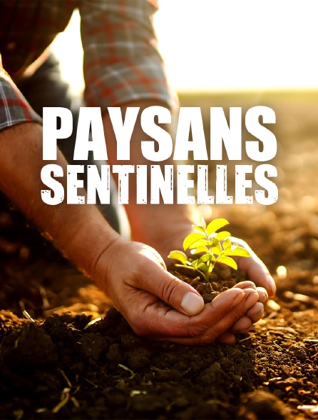 Paysans sentinelles