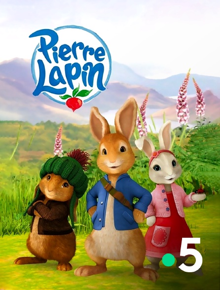 France 5 - Pierre Lapin