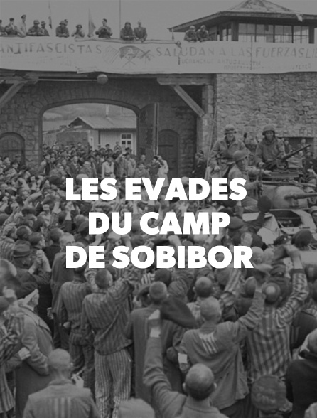 Les évadés du camp de Sobibor