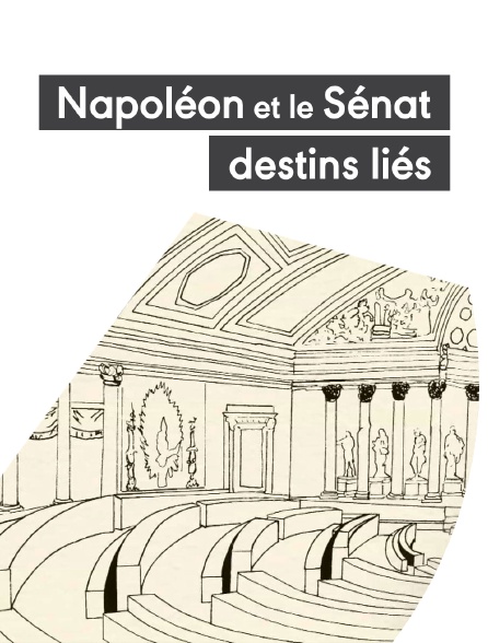 Napoléon et le Sénat, destins liés