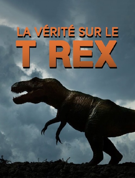La vérité sur le T rex