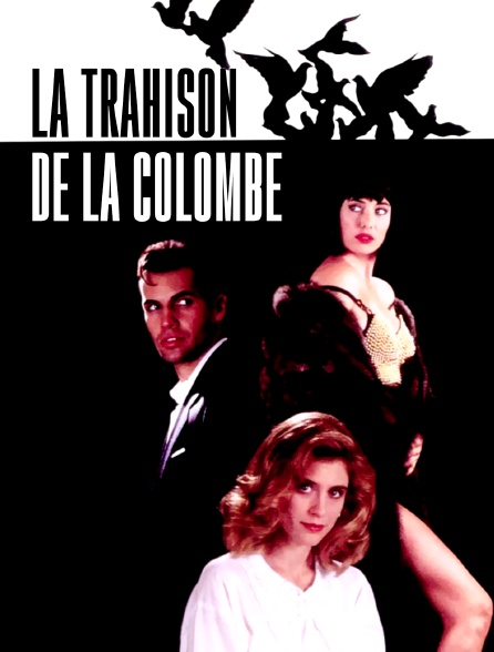 La trahison de la colombe