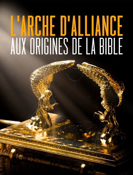 L'Arche d'alliance, aux origines de la Bible