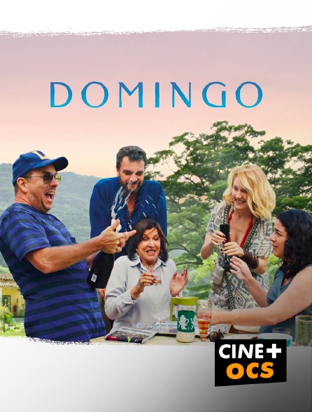 CINÉ Cinéma - Domingo