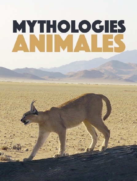 Mythologies animales