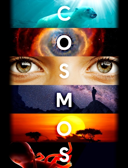 Cosmos : une odyssée à travers l'univers