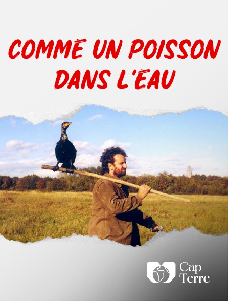 Cap Terre - Comme un poisson dans l'eau
