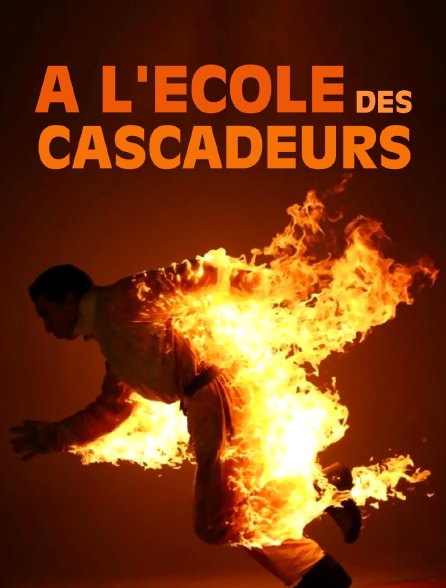 A l'école des cascadeurs