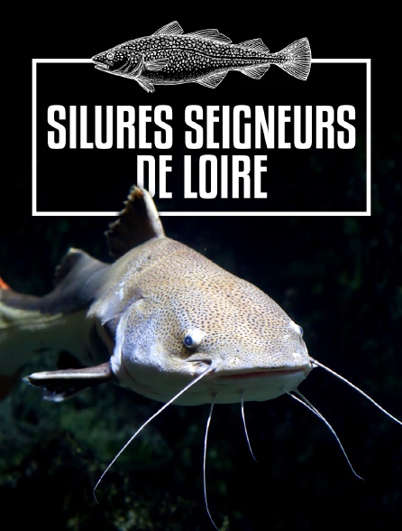 Silures seigneurs de Loire