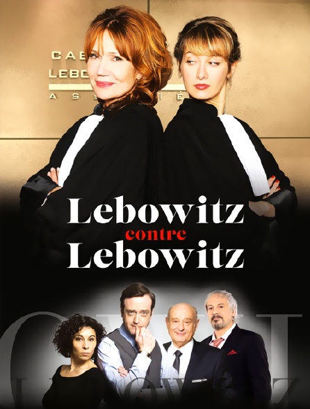 Lebowitz contre Lebowitz