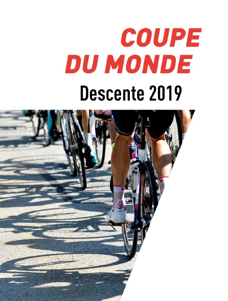 Coupe du monde de descente 2019